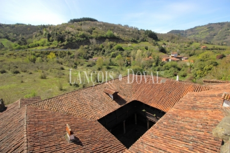 Asturias. Casa palacio en venta siglo XVI. Concejo de Salas. 