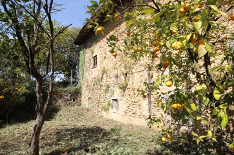 Asturias. Casa palacio en venta siglo XVI. Concejo de Salas. 