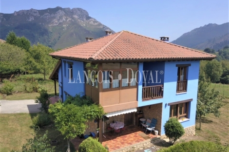 Cangas de Onís. Peruyes. Casa tradicional Asturiana en venta. 
