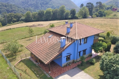 Cangas de Onís. Peruyes. Casa tradicional Asturiana en venta. 