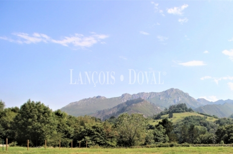 Cangas de Onís. Peruyes. Casa tradicional Asturiana en venta. 