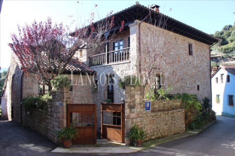 Peñamellera Alevia. Hotel con encanto en venta. Tradicional Casona Asturiana