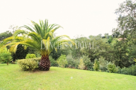 Caxidi. Cangas de Onís. Casa en venta con amplio jardín y piscina