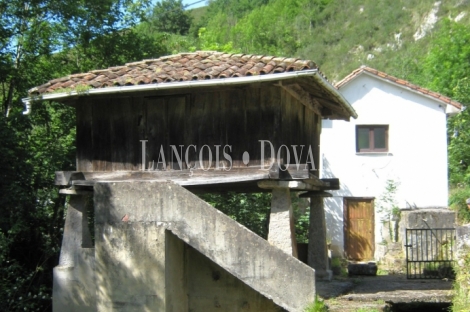 Casa rústica tradicional de pueblo en venta cerca Covadonga. Cangas de Onís.