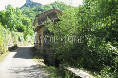 Casa rústica tradicional de pueblo en venta cerca Covadonga. Cangas de Onís.