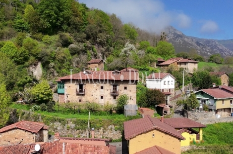 Asturias. Proaza. Singular casa señorial medieval en venta. 