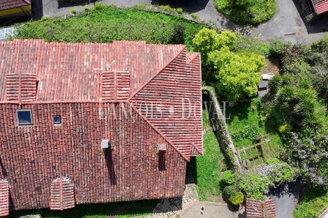 Asturias. Proaza. Singular casa señorial medieval en venta. 