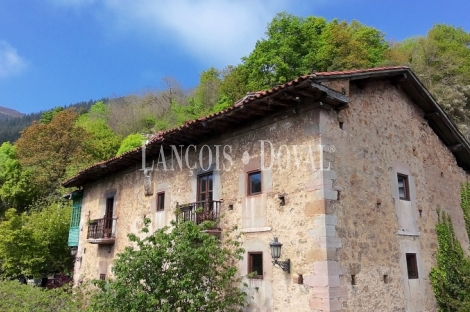 Asturias. Proaza. Singular casa señorial medieval en venta. 