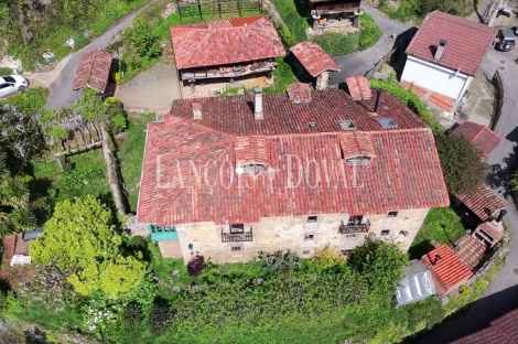 Asturias. Proaza. Singular casa señorial medieval en venta. 