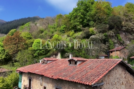 Asturias. Proaza. Singular casa señorial medieval en venta. 
