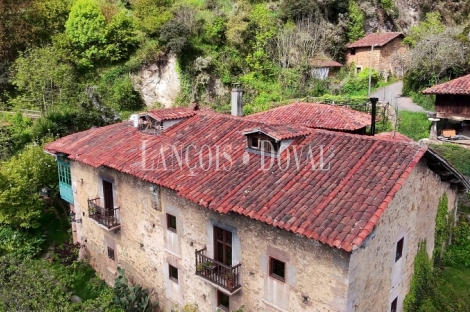 Asturias. Proaza. Singular casa señorial medieval en venta. 