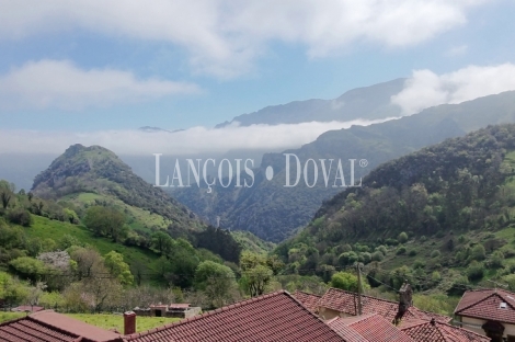 Asturias. Proaza. Singular casa señorial medieval en venta. 