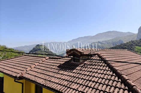 Asturias. Proaza. Singular casa señorial medieval en venta. 
