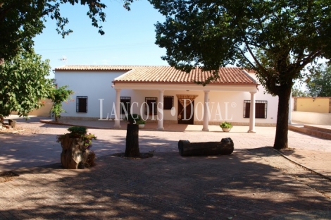 Ciudad Real Casa de campo en venta