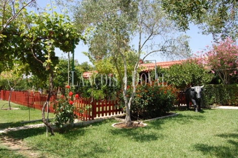 Carmona Sevilla Finca en venta 