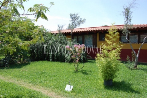 Carmona Sevilla Finca en venta 