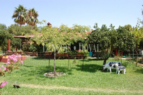 Carmona Sevilla Finca en venta 