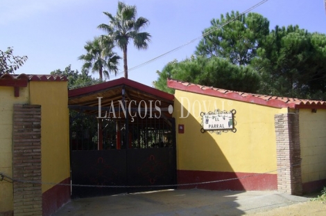 Carmona Sevilla Finca en venta 