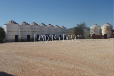 Puebla de Cazalla. Sevilla Cortijo y finca en venta