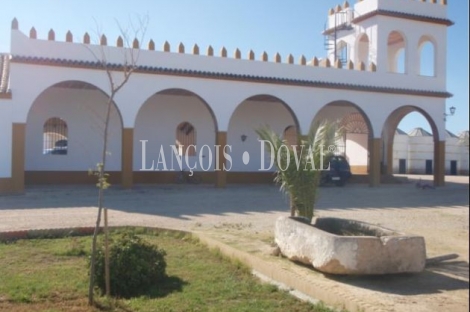 Puebla de Cazalla. Sevilla Cortijo y finca en venta