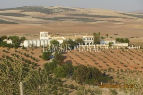 Puebla de Cazalla. Sevilla Cortijo y finca en venta