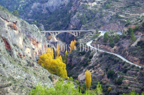 Ruta de Don Quijote. Albacete Proyecto turístico rural en venta