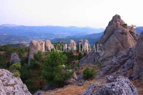 Ruta de Don Quijote. Albacete Proyecto turístico rural en venta