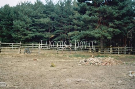 Ávila. Sierra de Gredos. Castilla León. Finca en venta.