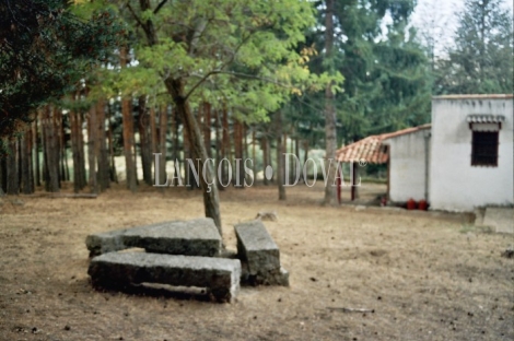 Ávila. Sierra de Gredos. Castilla León. Finca en venta.