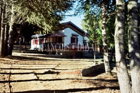 Ávila. Sierra de Gredos. Castilla León. Finca en venta.