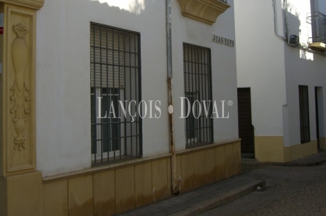 Córdoba. Casa señorial en venta ideal negocio o despachos.