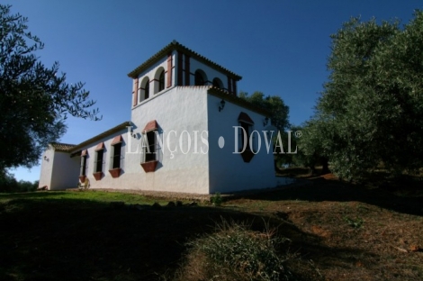 Almadén de la Plata. Sevilla. Finca en venta. 