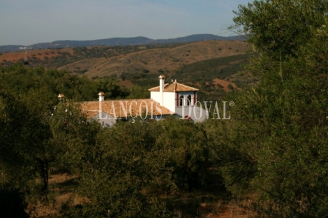 Almadén de la Plata. Sevilla. Finca en venta. 