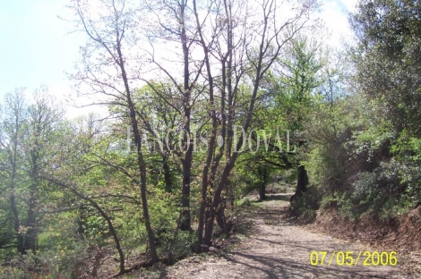 Güejar Sierra. Sierra nevada. Granada. Finca edificable en venta.