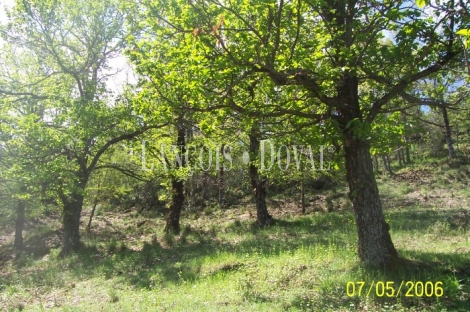 Güejar Sierra. Sierra nevada. Granada. Finca edificable en venta.