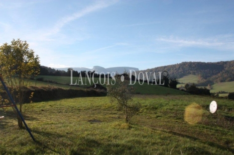 Valle de Ayala . Alava. País Vasco Caserío en venta.