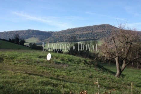 Valle de Ayala . Alava. País Vasco Caserío en venta.