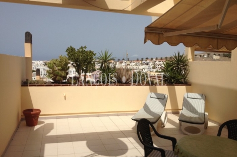 apartamentos sur las palmas apartamentos tur 237 sticos en venta fuerteventura las palmas apartamentos sur las palmas apartamentos tur 237 sticos en venta fuerteventura las palmas
