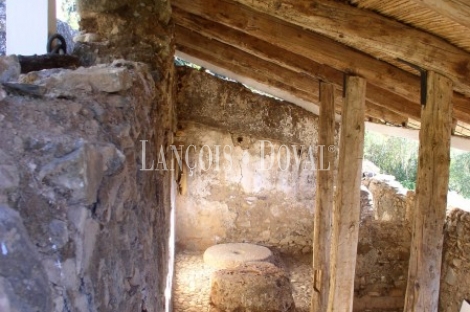 Sierra de Las Nieves. Málaga. Casas rurales en venta.