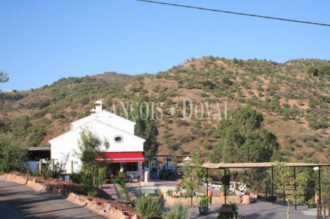 Sierra de Las Nieves. Málaga. Casas rurales en venta.