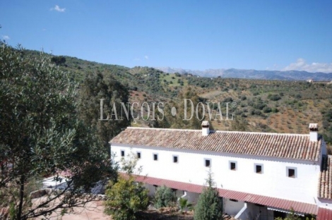 Sierra de Las Nieves. Málaga. Casas rurales en venta.