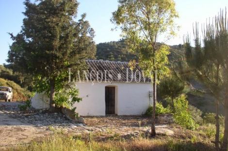 Sierra de Las Nieves. Málaga. Casas rurales en venta.