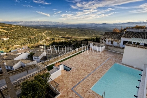 Úbeda. Jaén. Hotel con encanto y restaurante en venta.