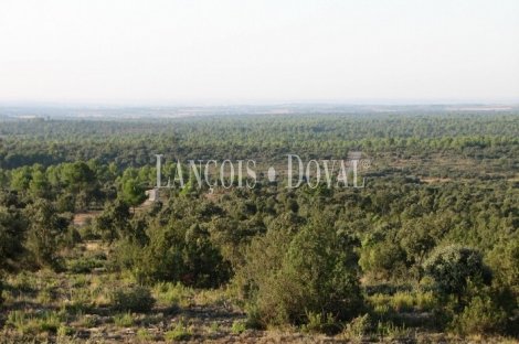 La Manchuela Alta. Cuenca. Finca coto de caza en venta.