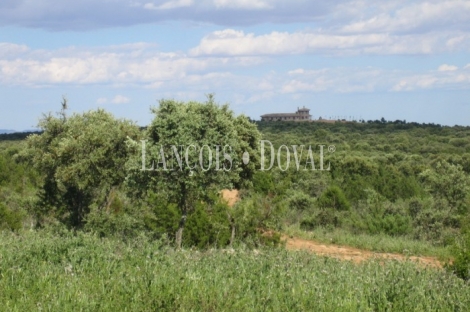 La Manchuela Alta. Cuenca. Finca coto de caza en venta.