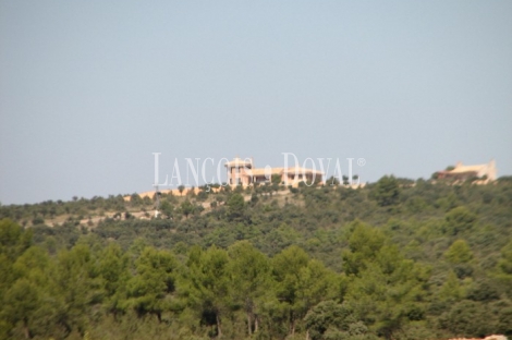 La Manchuela Alta. Cuenca. Finca coto de caza en venta.