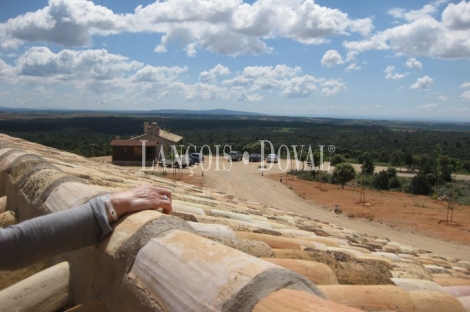 La Manchuela Alta. Cuenca. Finca coto de caza en venta.