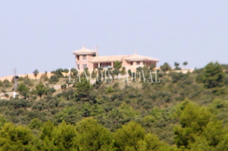 La Manchuela Alta. Cuenca. Finca coto de caza en venta.