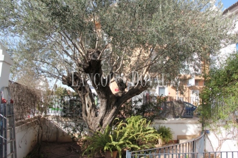 La Cañada. Valencia. Casa modernista en venta.