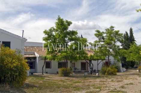 Huéscar. Granada Finca y cortijo en venta